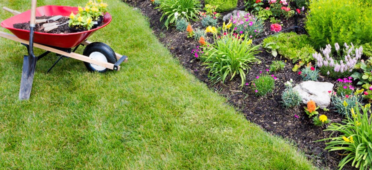 Landscaping service Newcastle